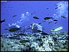 IMG_7654.JPG