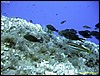 IMG_7655.JPG