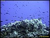IMG_7657.JPG