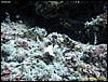 IMG_7677.JPG