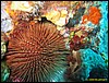 IMG_7686.JPG