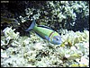 IMG_7730.JPG