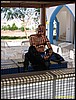 IMG_8290.JPG