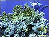 IMG_8293.JPG