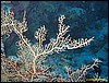 IMG_8297.JPG