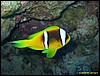 IMG_8322.JPG