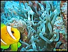 IMG_8326.JPG