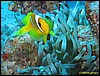 IMG_8327.JPG