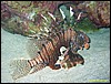 IMG_8330.JPG