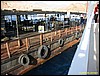 IMG_8393.JPG