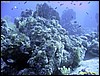 IMG_8403.JPG