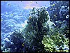 IMG_8404.JPG