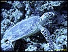 IMG_8421.JPG