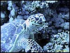 IMG_8422.JPG