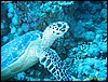 IMG_8423.JPG