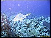 IMG_8426.JPG