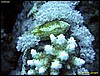 IMG_8433.JPG