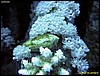 IMG_8434.JPG