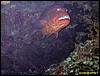 IMG_8441.JPG