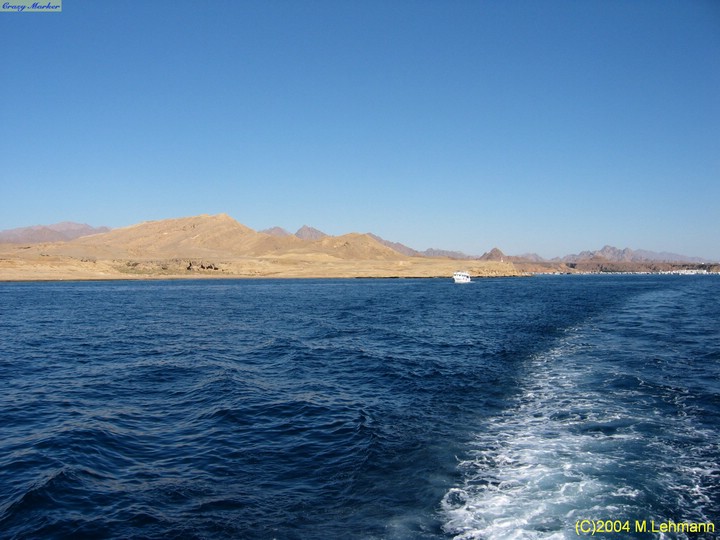 IMG_8455.JPG