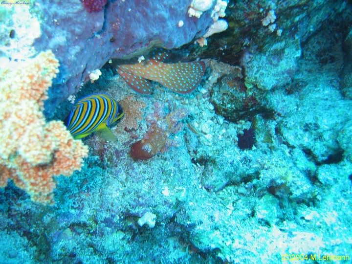 IMG_8491.JPG