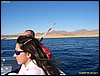 IMG_8456.JPG