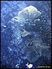 IMG_8459.JPG
