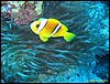 IMG_8462.JPG