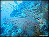 IMG_8475.JPG