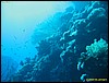 IMG_8493.JPG