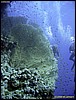 IMG_8502.JPG