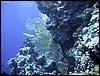 IMG_8505.JPG
