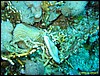 IMG_8509.JPG