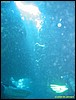 IMG_8510.JPG