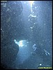 IMG_8511.JPG