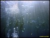 IMG_8513.JPG