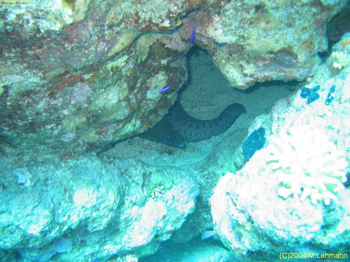 IMG_8595.JPG