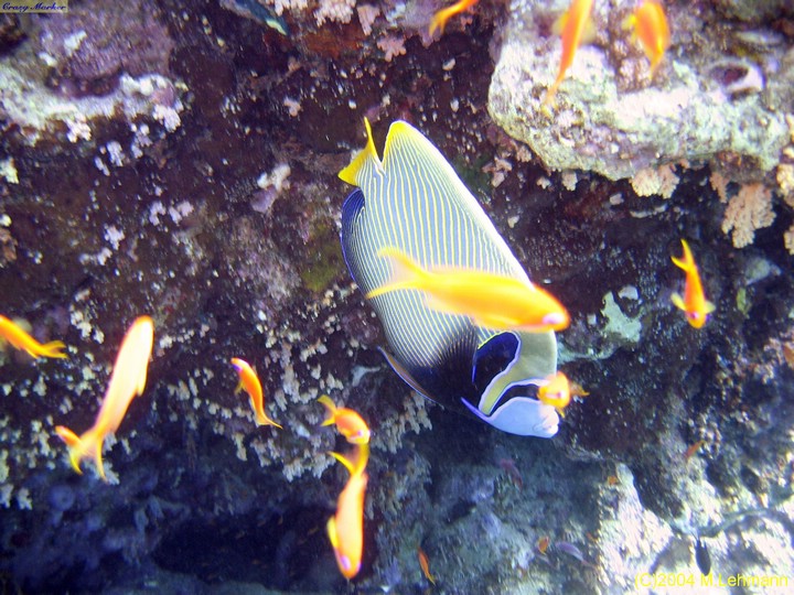 IMG_8597.JPG