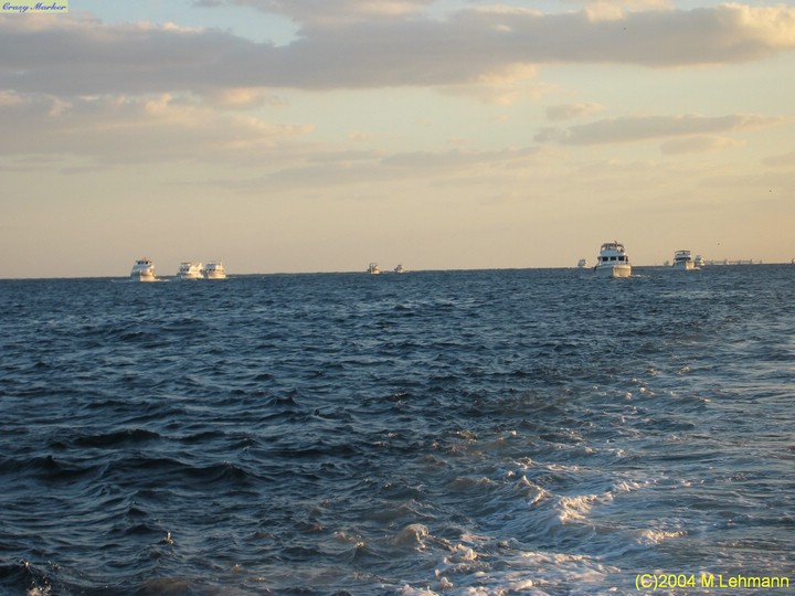 IMG_8608.JPG