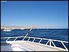 IMG_8516.JPG