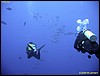 IMG_8518.JPG