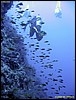 IMG_8521.JPG