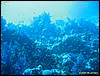 IMG_8526.JPG