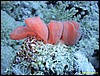 IMG_8530.JPG