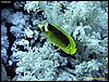 IMG_8539.JPG