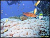 IMG_8543.JPG