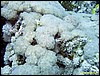 IMG_8546.JPG