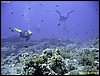 IMG_8550.JPG