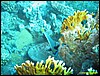 IMG_8557.JPG