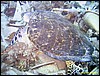 IMG_8563.JPG